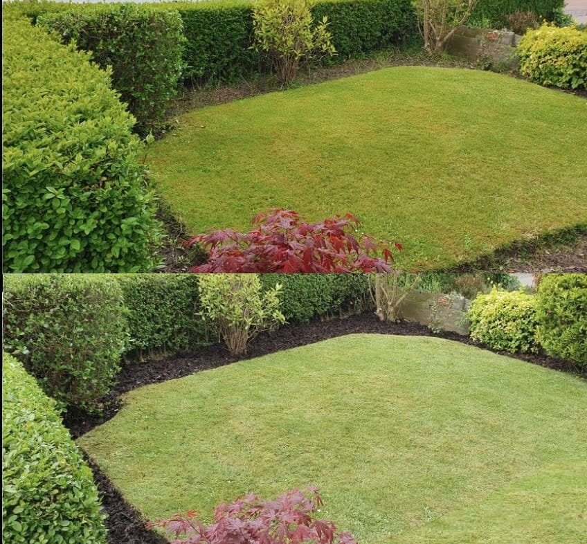 Before and after: a lawn and shrub border before and after edging and mulching.